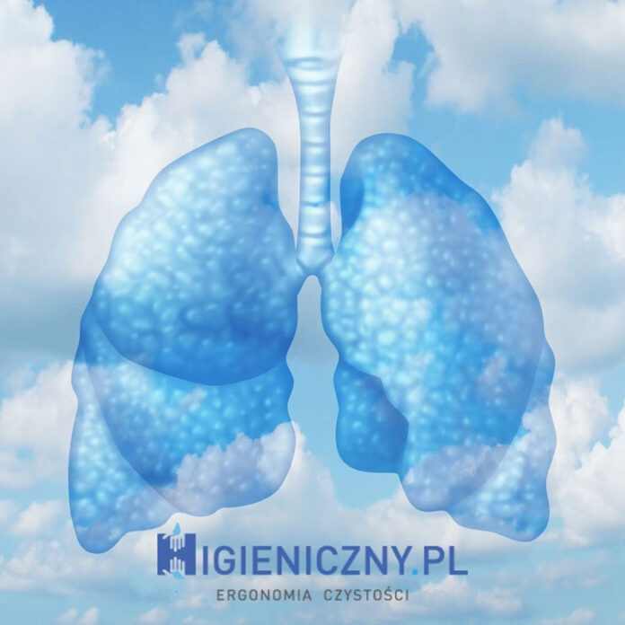 Dlaczego warto zainteresować się sterylizatorem powietrza