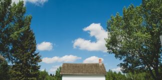 Jakie są trendy w dziedzinie izolacji i ociepleń?