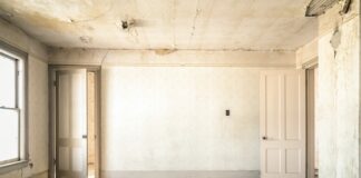 Jak przygotować ściany do malowania i tapetowania?