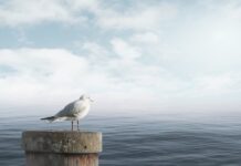 Jak uspokoić klienta? Jak uspokoić klienta?