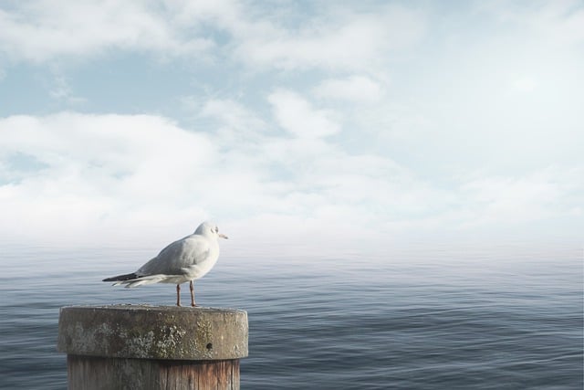 Jak uspokoić klienta? Jak uspokoić klienta?