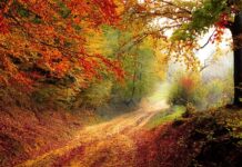 Do którego roku życia nie płaci się podatku? Do którego roku życia nie płaci się podatku?