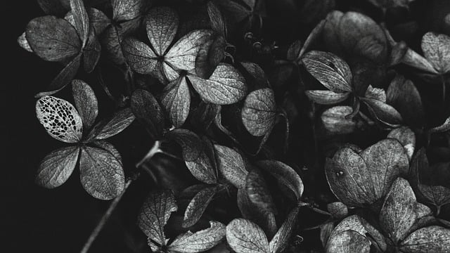 Jak kopać krypto waluty? Jak kopać krypto waluty?