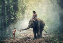 Co to znaczy zachowywać się kulturalnie? Co to znaczy zachowywać się kulturalnie?