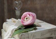 Kto jest zobowiązany stosować przepisy i zasady bezpieczeństwa i higieny pracy?