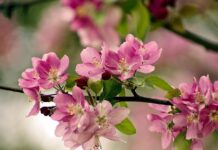 Jak się pisze to nie fair? Jak się pisze to nie fair?