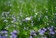 Kto dostał nagrodę fair play? Kto dostał nagrodę fair play?