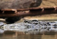 Co to są zasady etyczne? Co to są zasady etyczne?